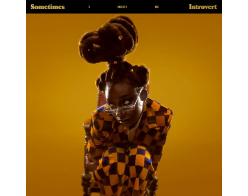 Little Simz - Sometimes I Might Be Introvert - Cover